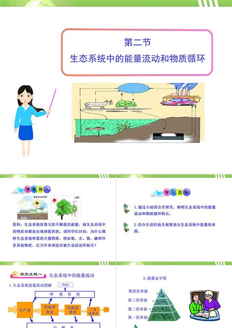 能量流失|能量流（生态系统）：定义，过程和示例（带图表）